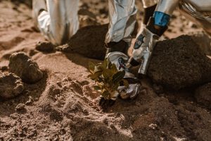 NASA Grant for Space Agriculture: Proven Benefits for Research