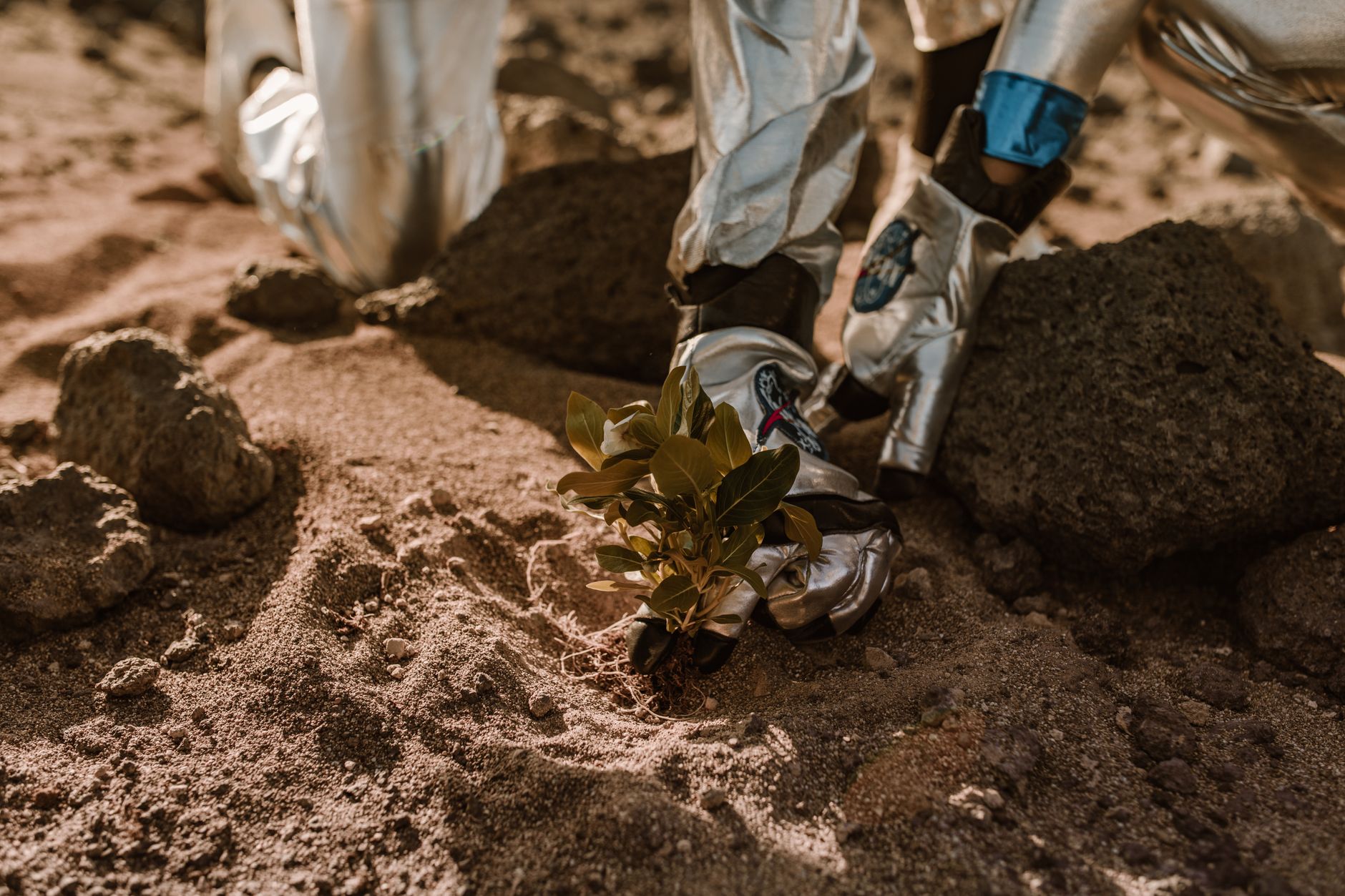 NASA Grant for Space Agriculture: Proven Benefits for Research